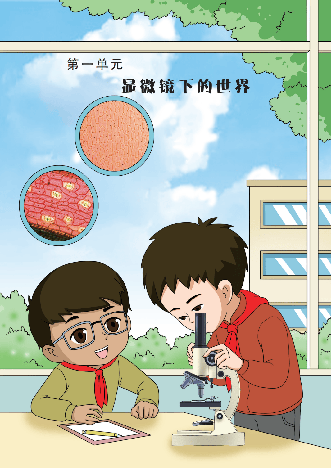 最新【大象版】6年级科学课本•上册_09.png