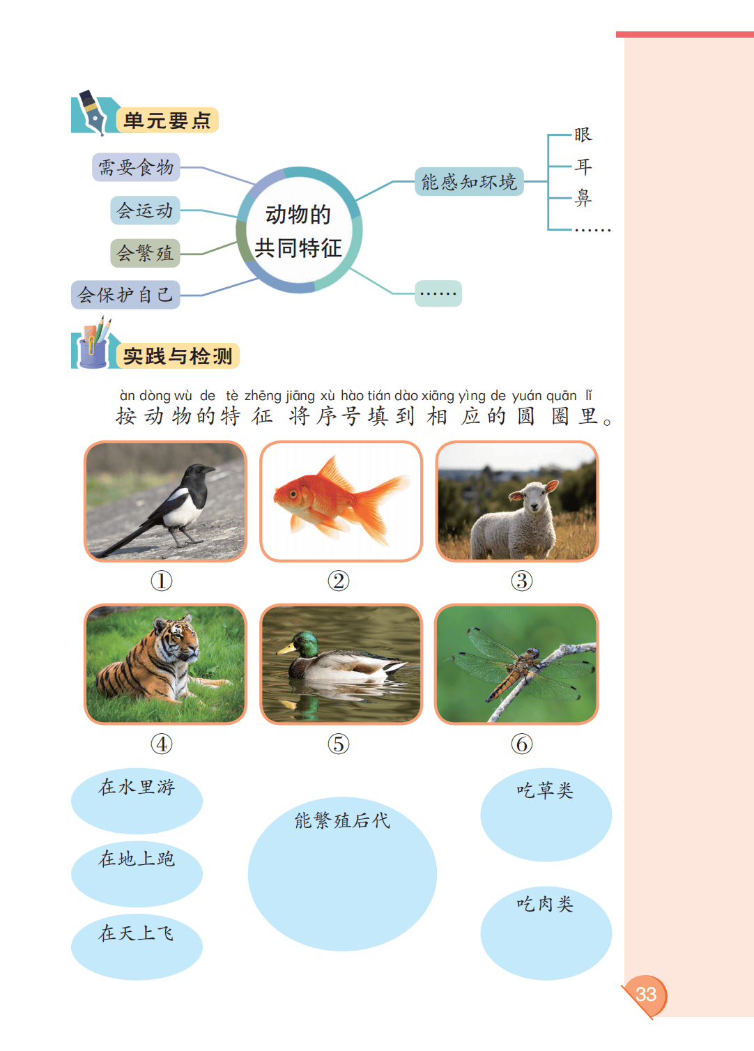 最新【大象版】2年级科学课本•上册_39.png