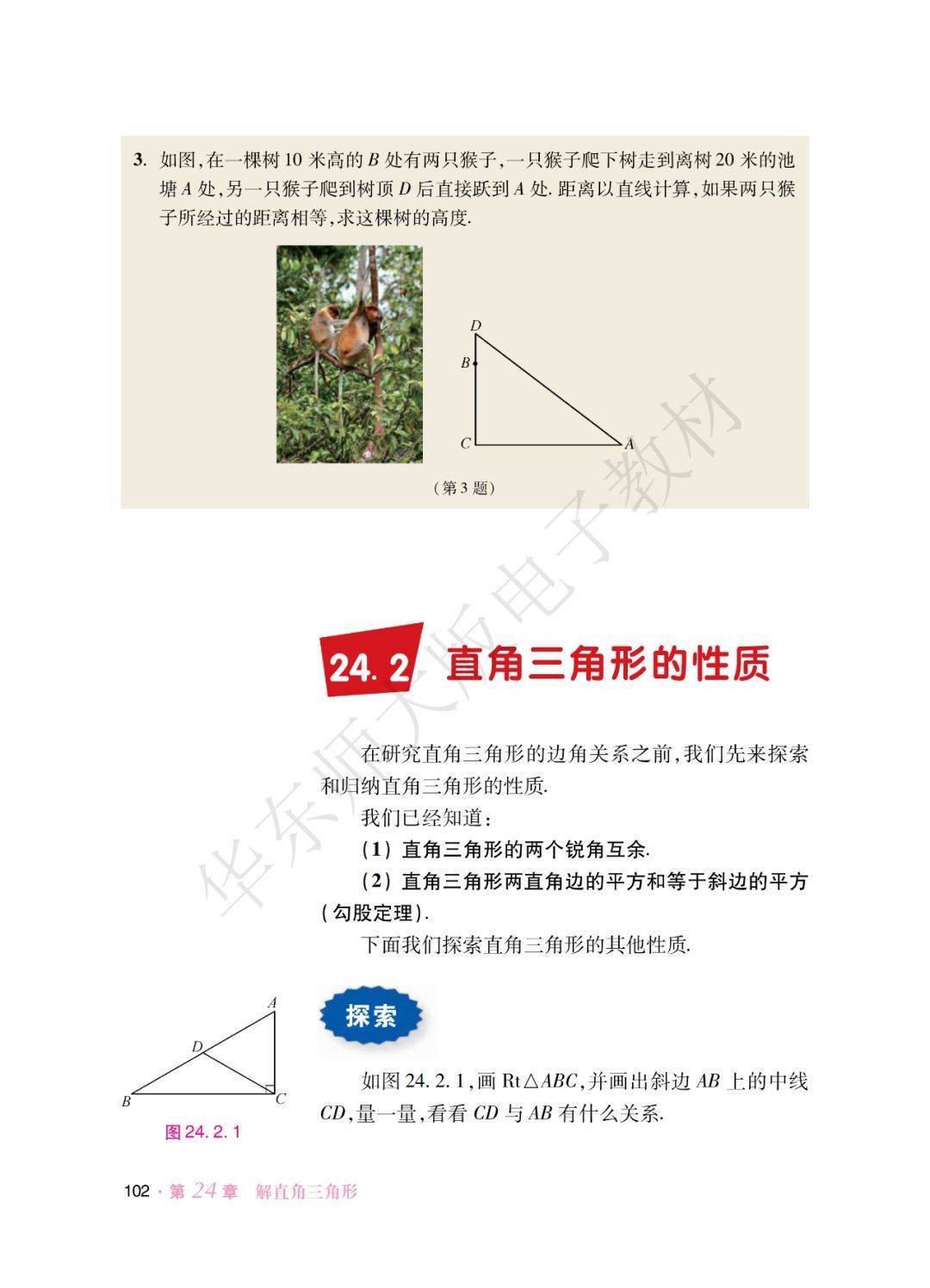 文章配图-101