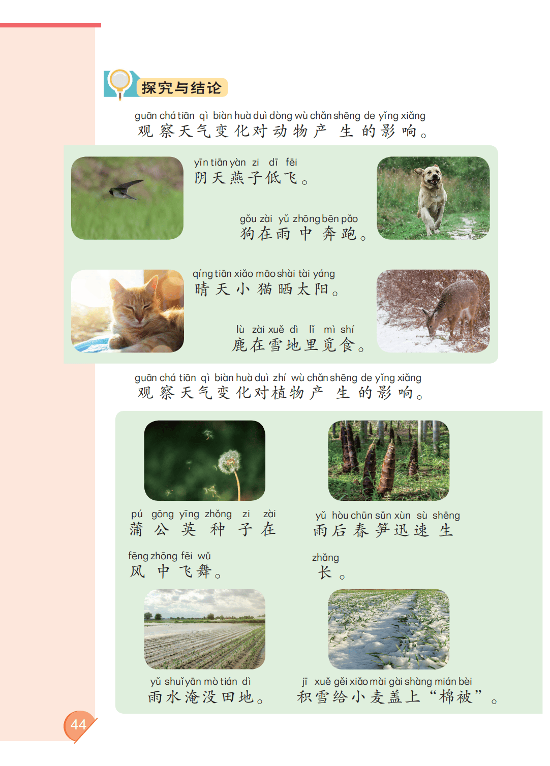 最新【大象版】2年级科学课本•上册_50.png