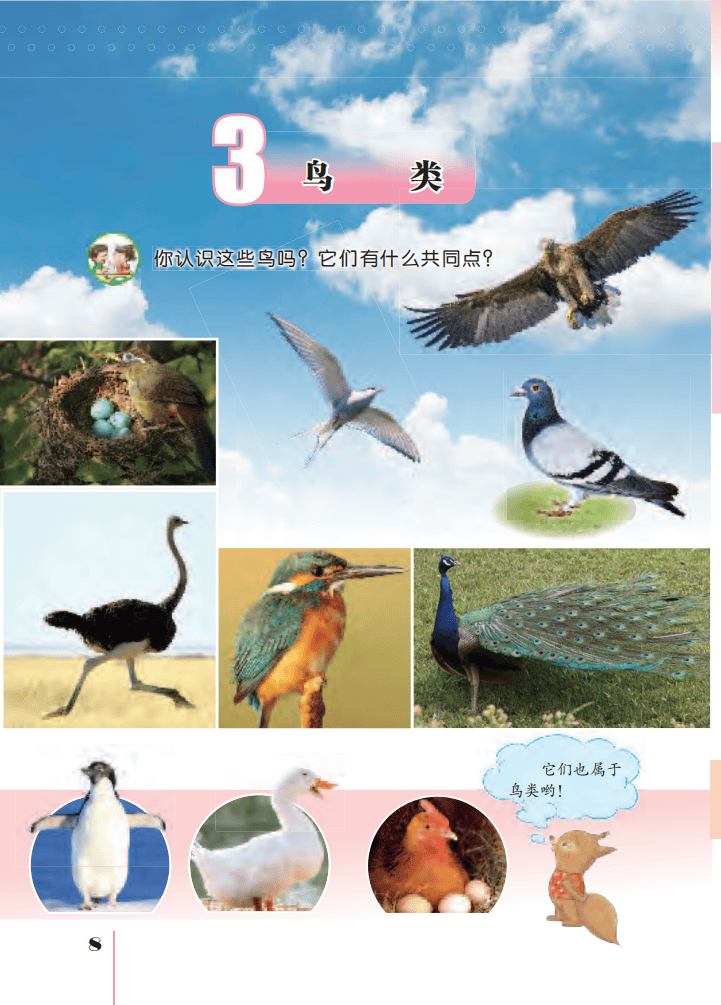 文章配图-10