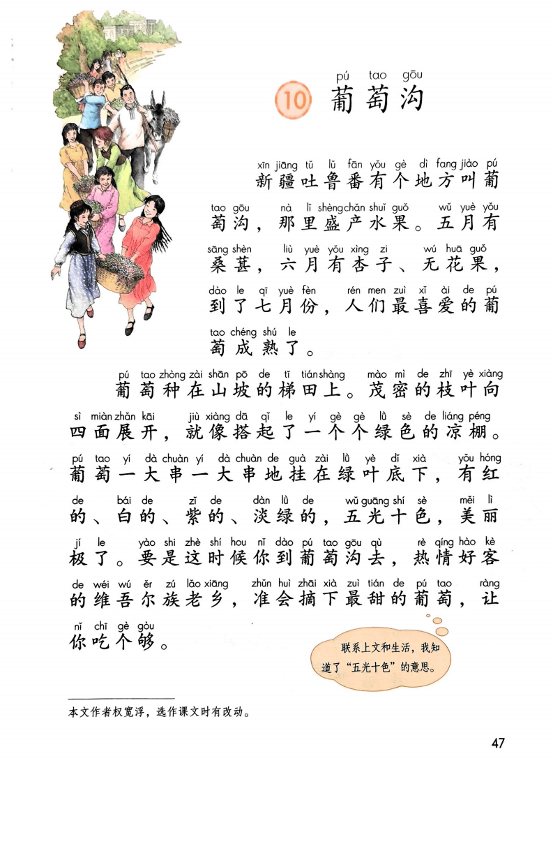 文章配图-49