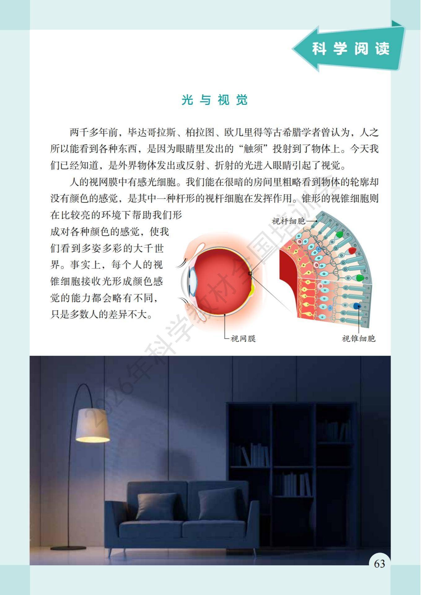 6年级科学上册教科版26秋新课本-逐页转图片-00070.jpg