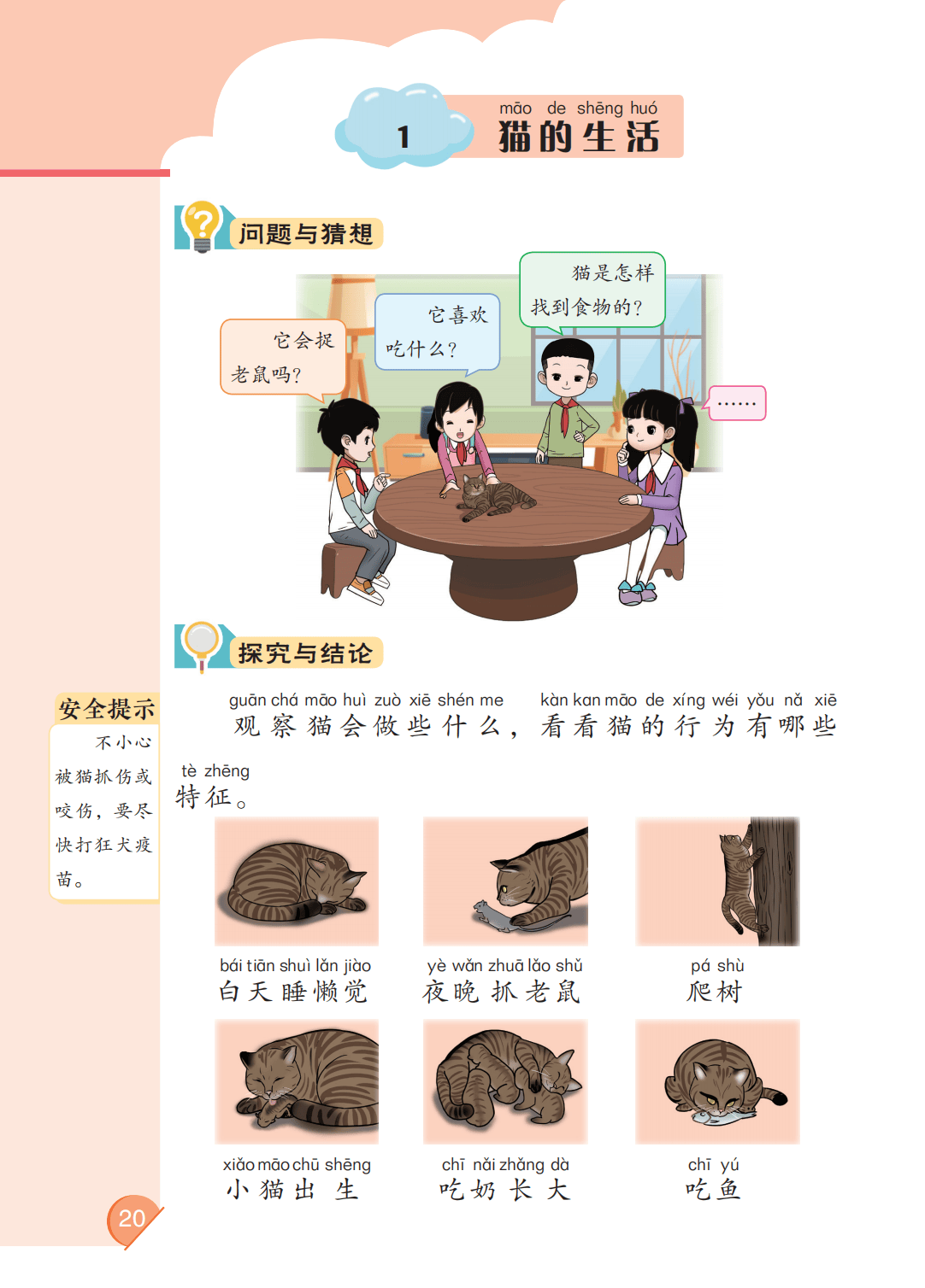 最新【大象版】2年级科学课本•上册_26.png