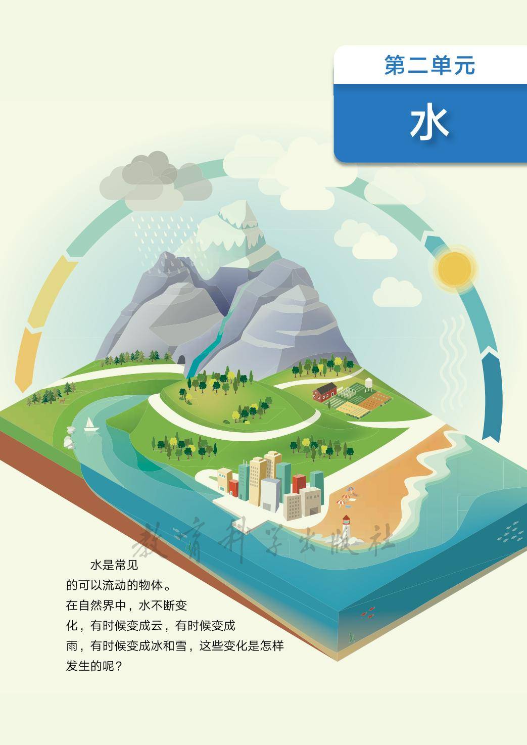 3年级科学上册教科版26秋新课本-逐页转图片-00037.jpg