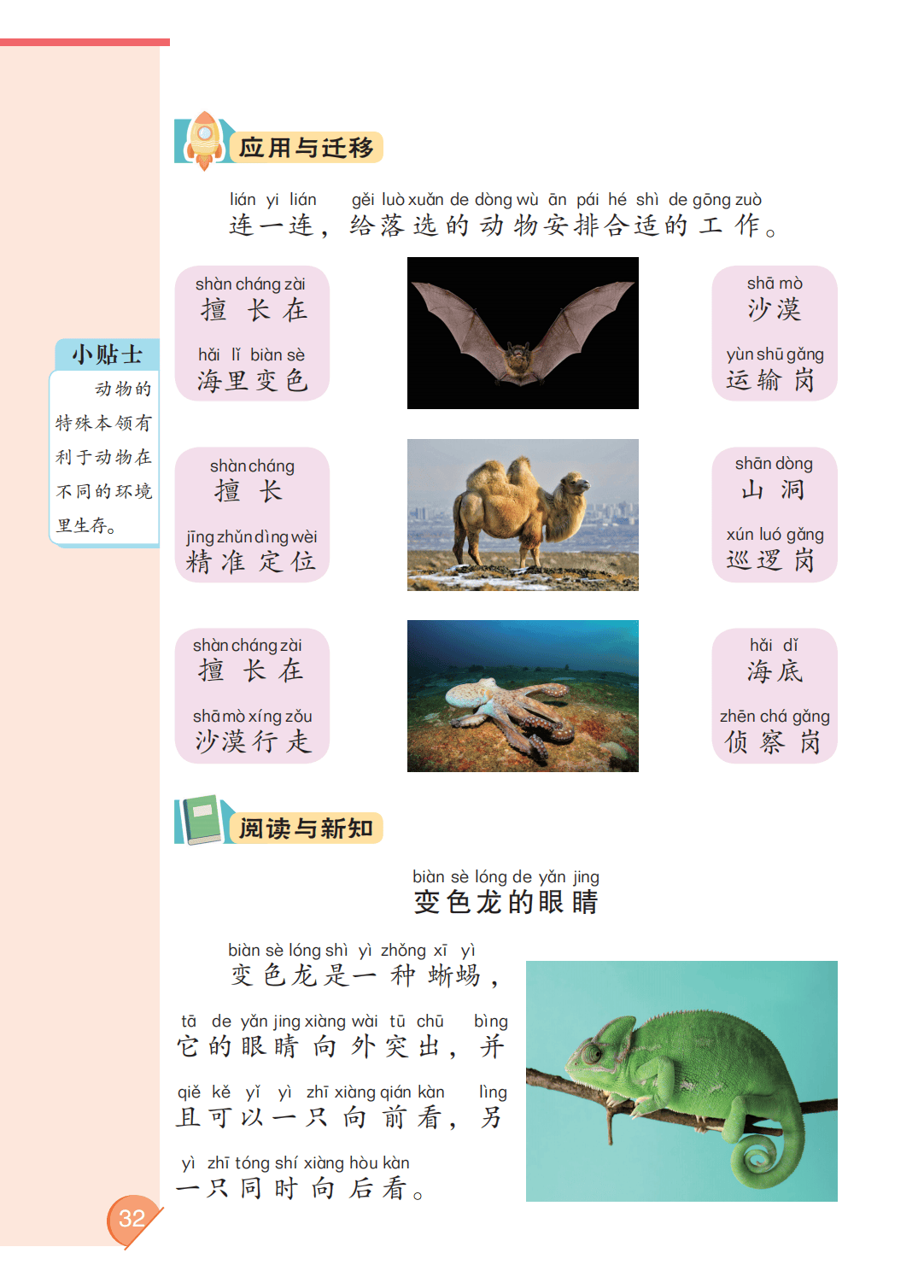 最新【大象版】2年级科学课本•上册_38.png