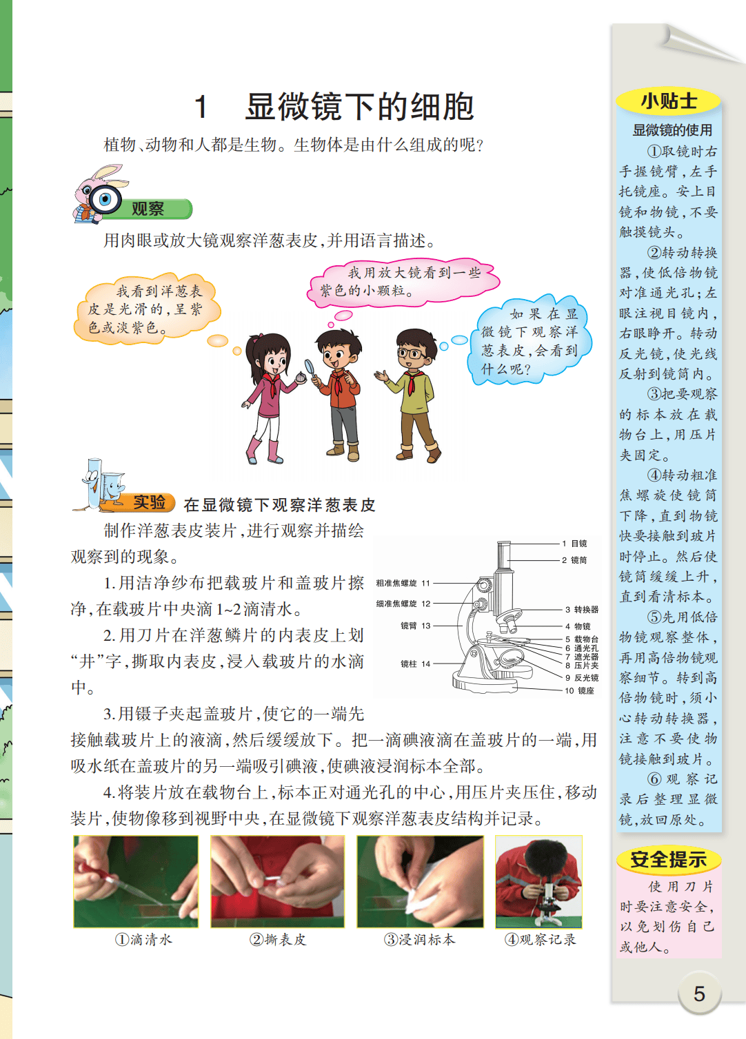 最新【大象版】6年级科学课本•上册_10.png
