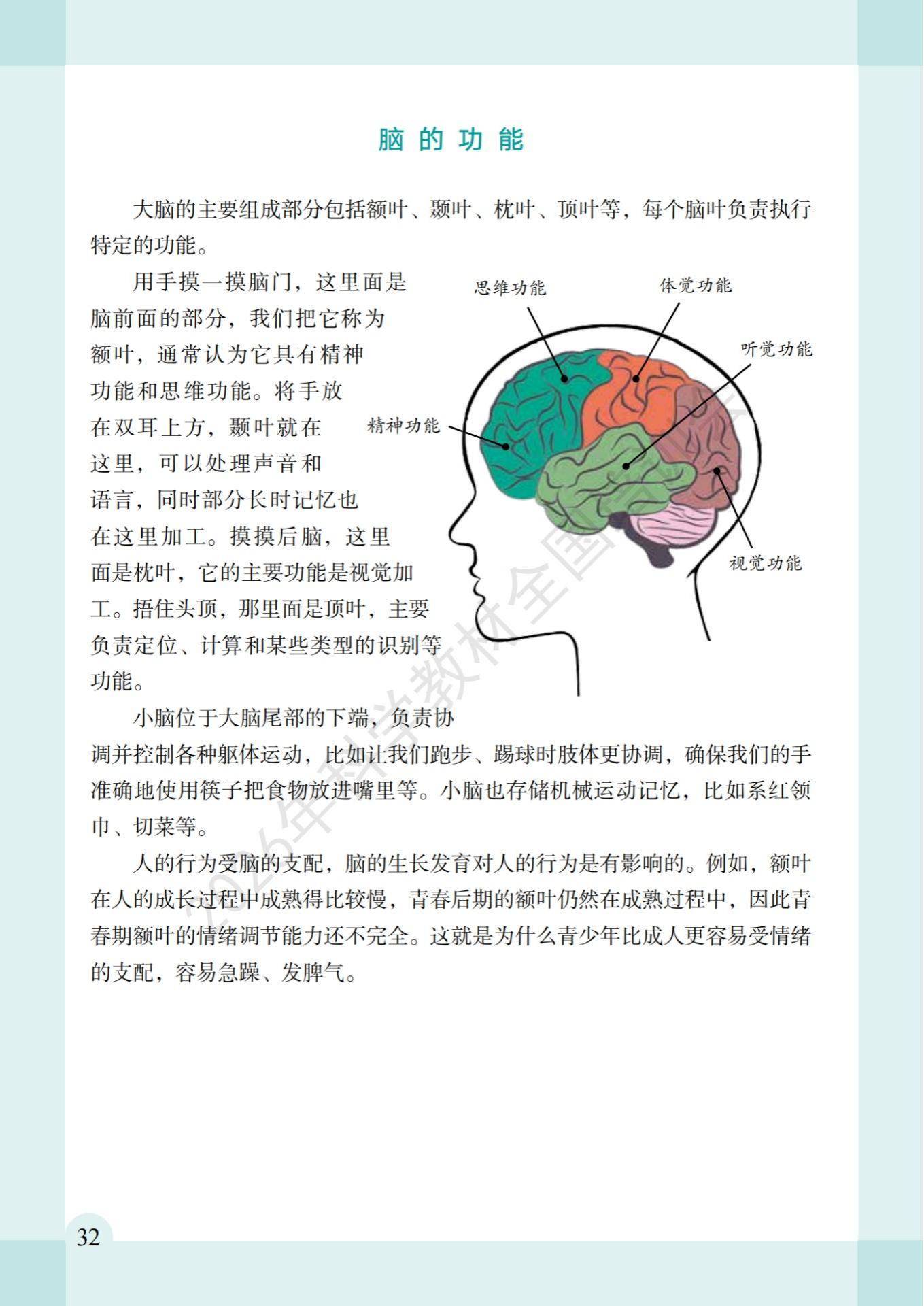 6年级科学上册教科版26秋新课本-逐页转图片-00036.jpg