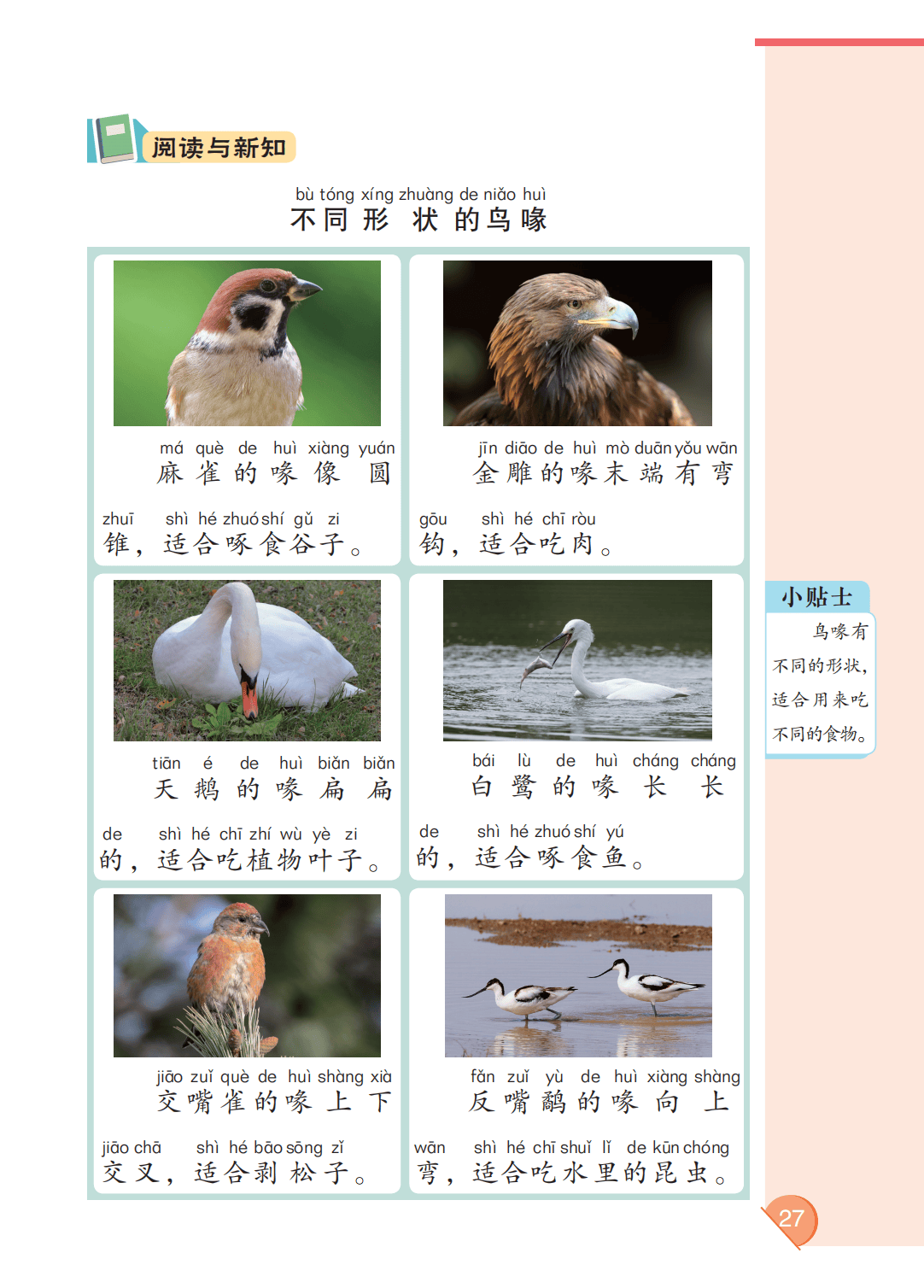 最新【大象版】2年级科学课本•上册_33.png