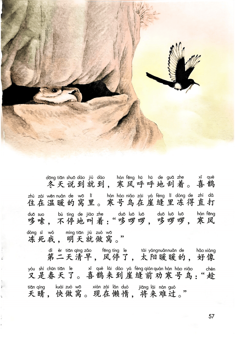 文章配图-59