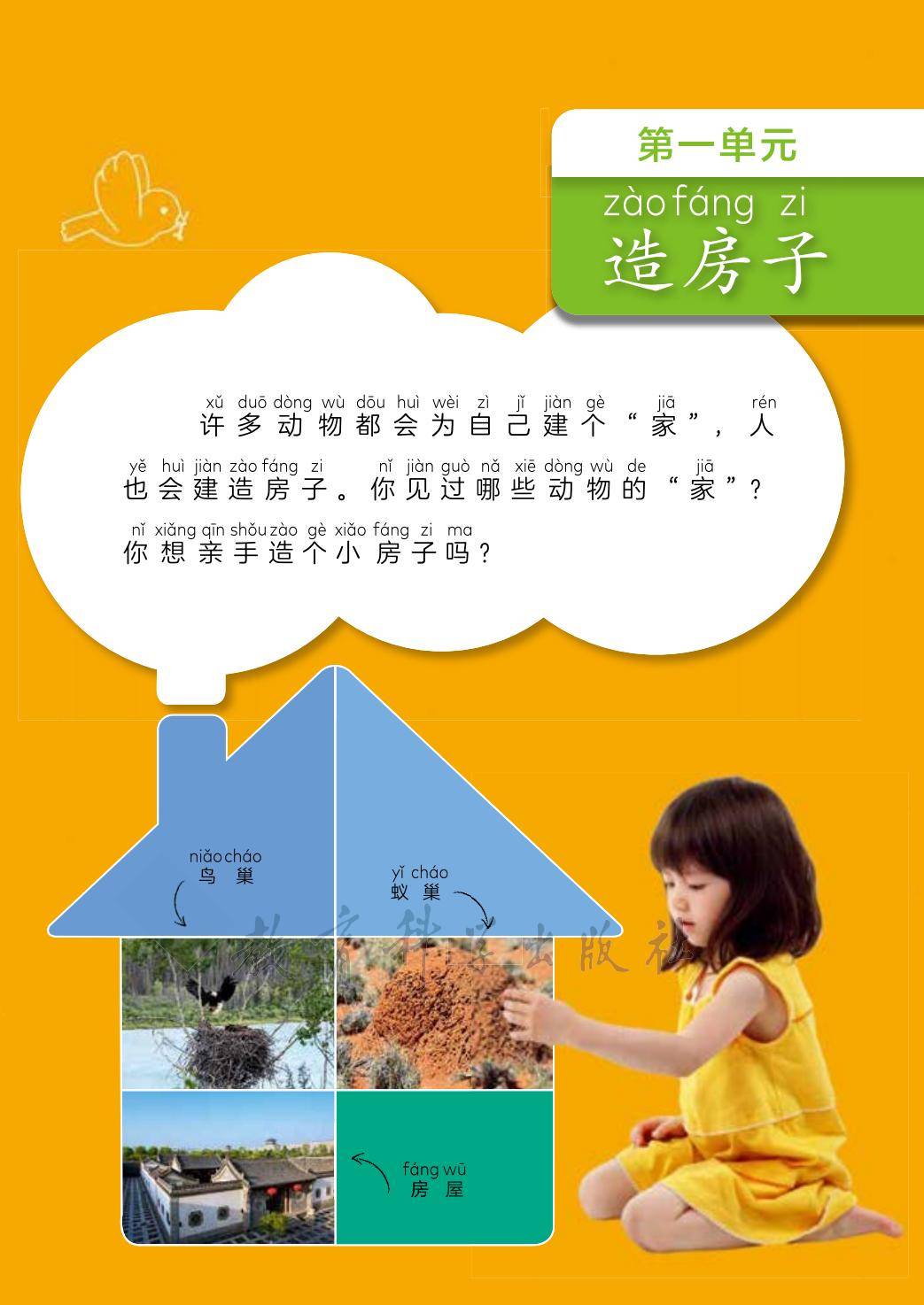 2年级科学上册教科版26秋新课本-逐页转图片-00009.jpg