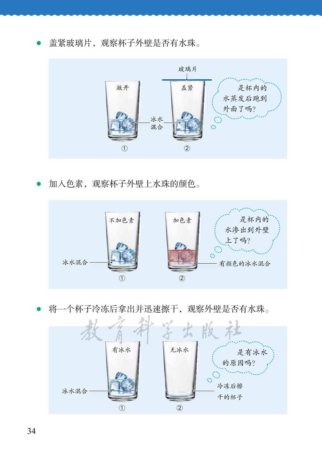 3年级科学上册教科版26秋新课本-逐页转图片-00042.jpg