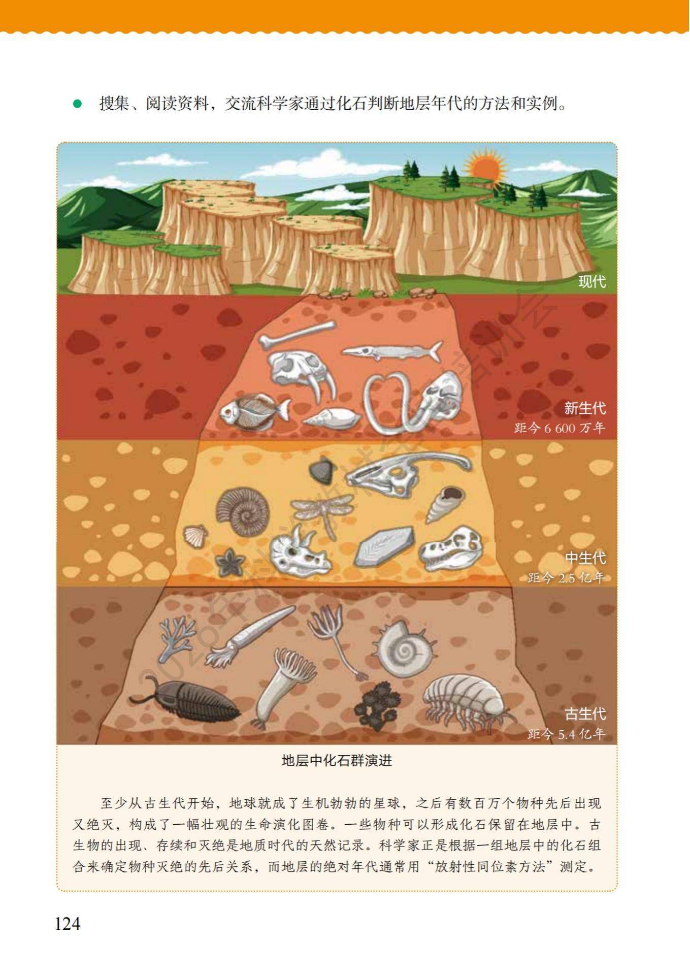 6年级科学上册教科版26秋新课本-逐页转图片-00131.jpg