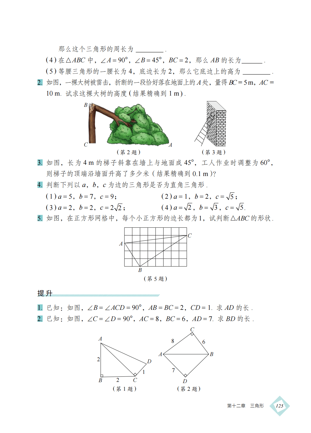 【北京版】八年级上册(2025秋版)数学电子课本_134.png