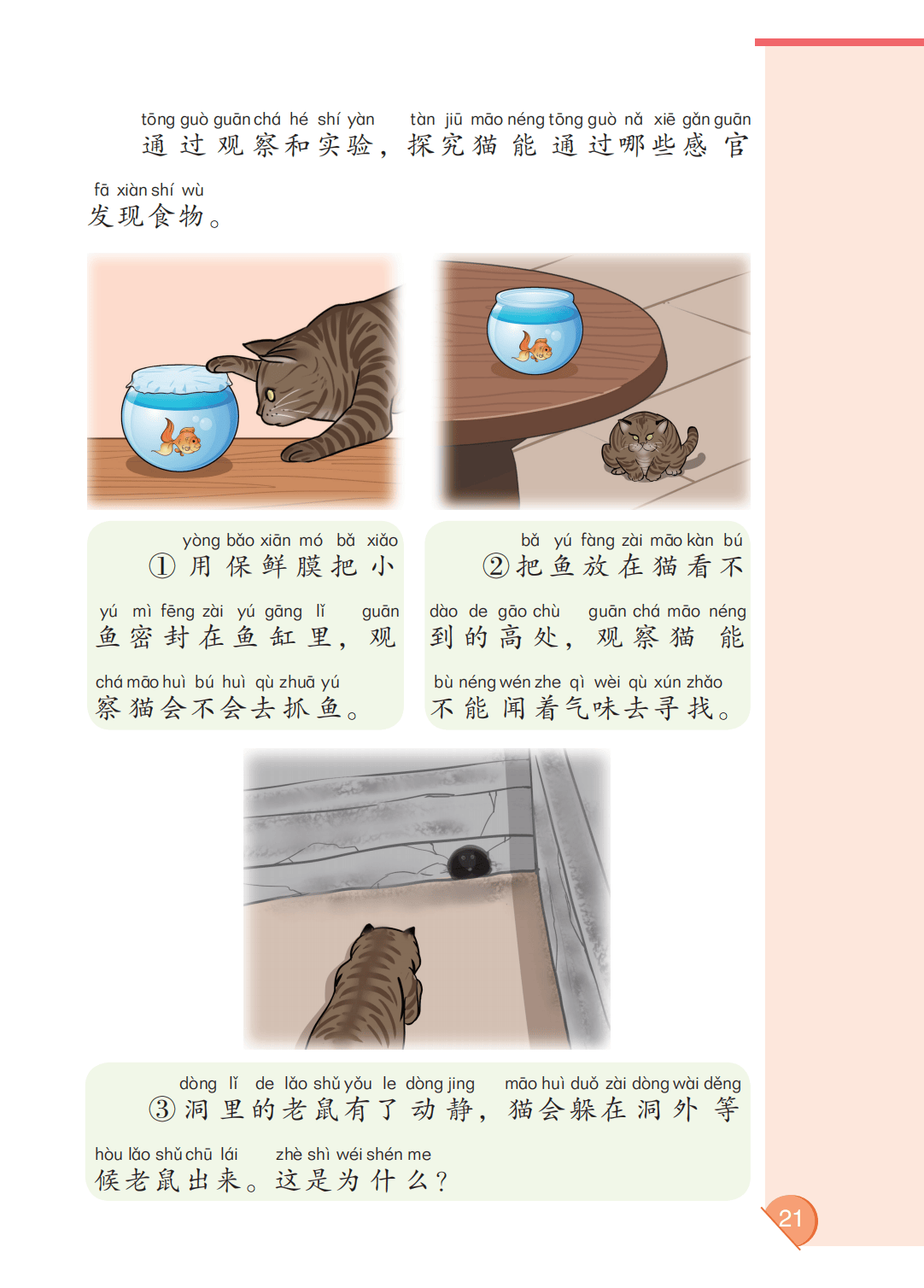 最新【大象版】2年级科学课本•上册_27.png