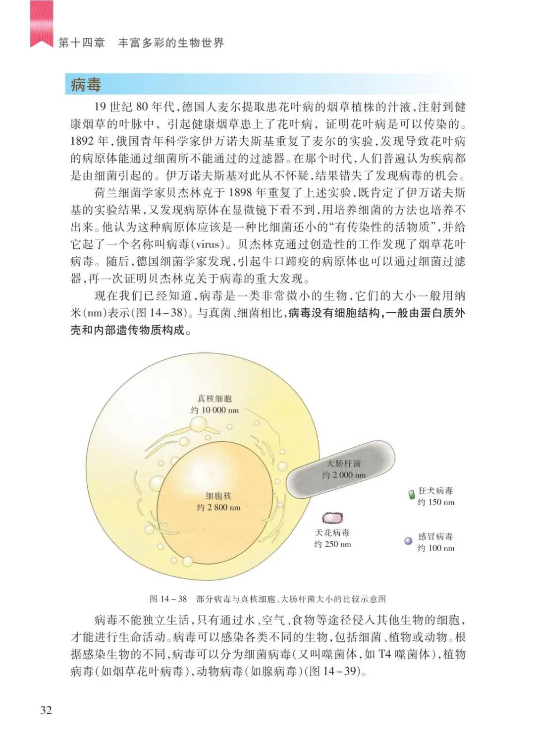文章配图-30