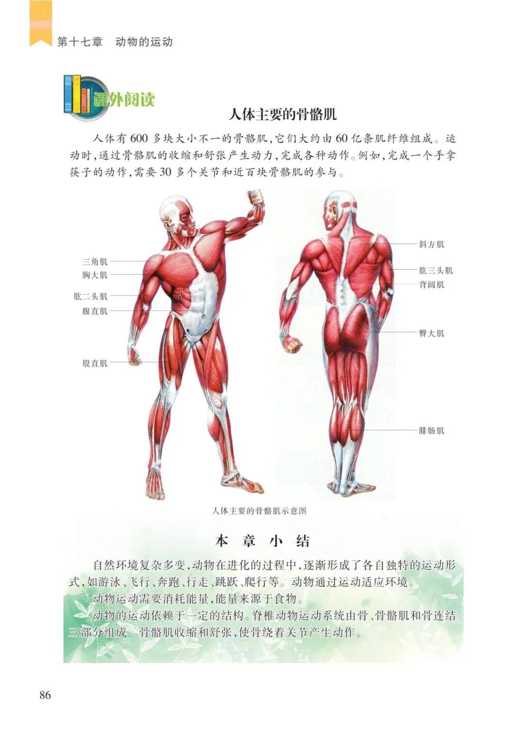 文章配图-4