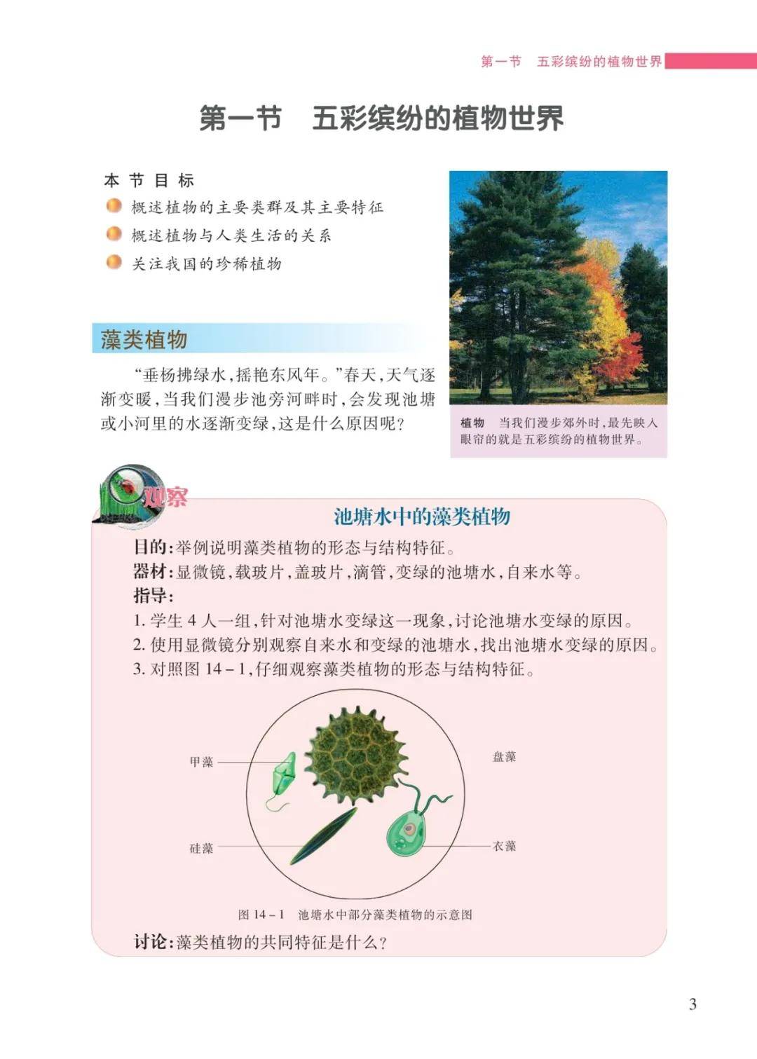 文章配图-6