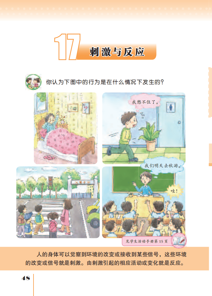 文章配图-50