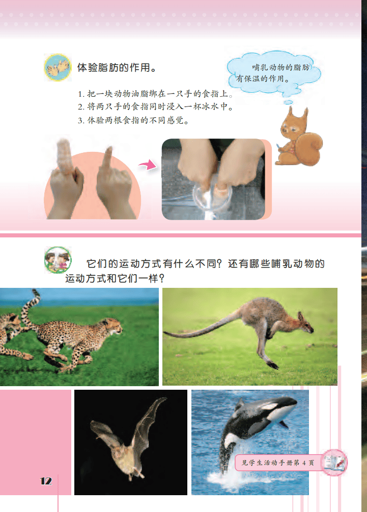 文章配图-13