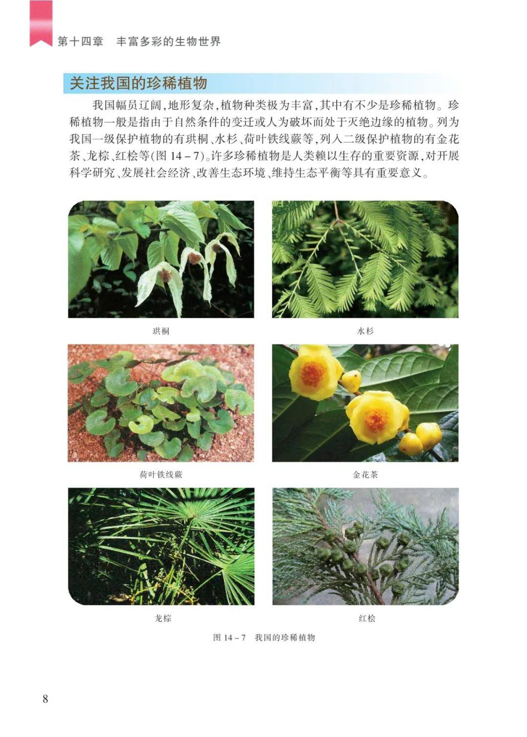文章配图-8
