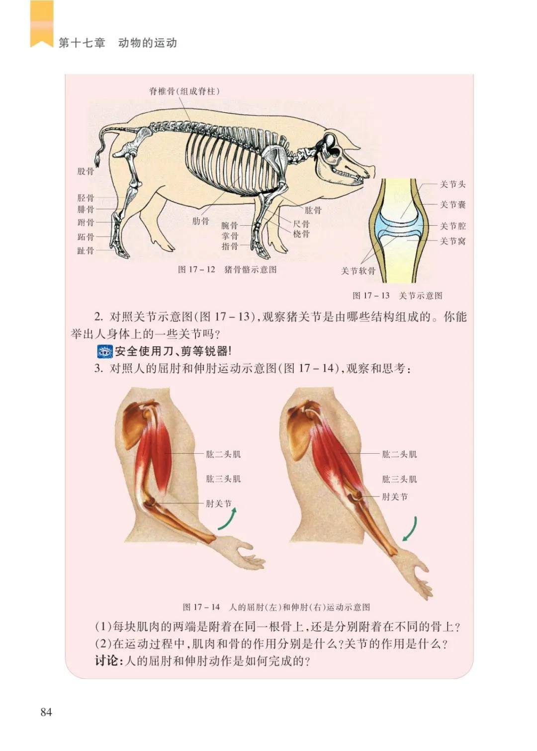 文章配图-2