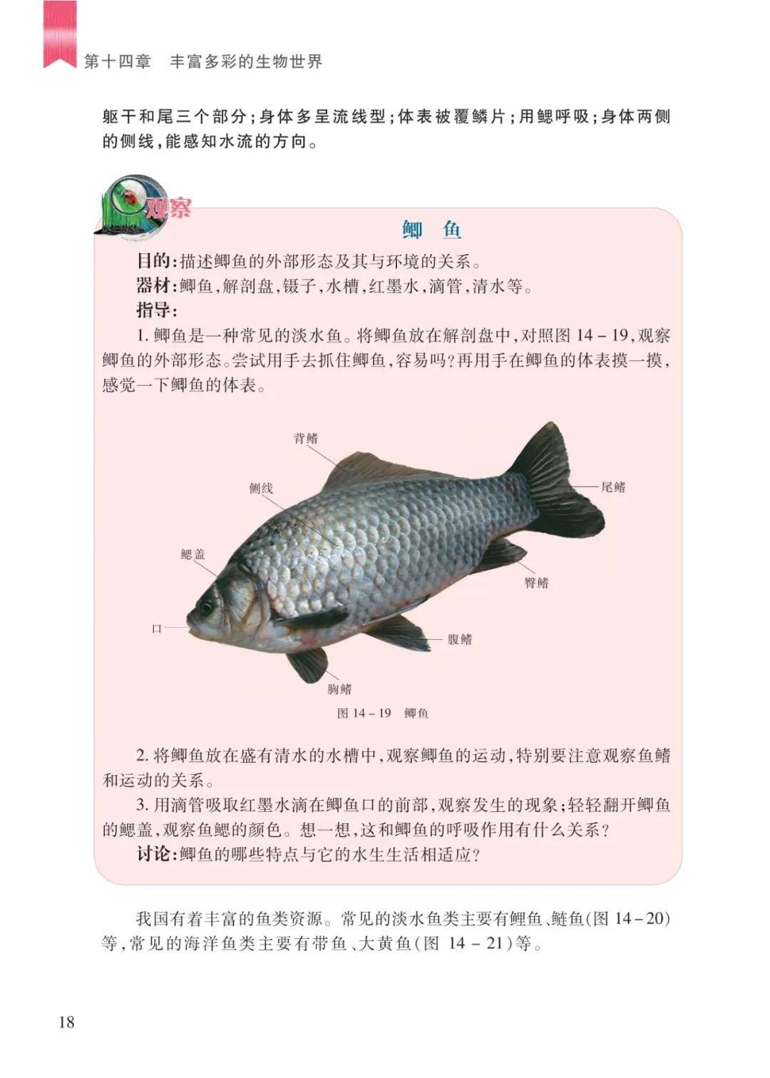 文章配图-16