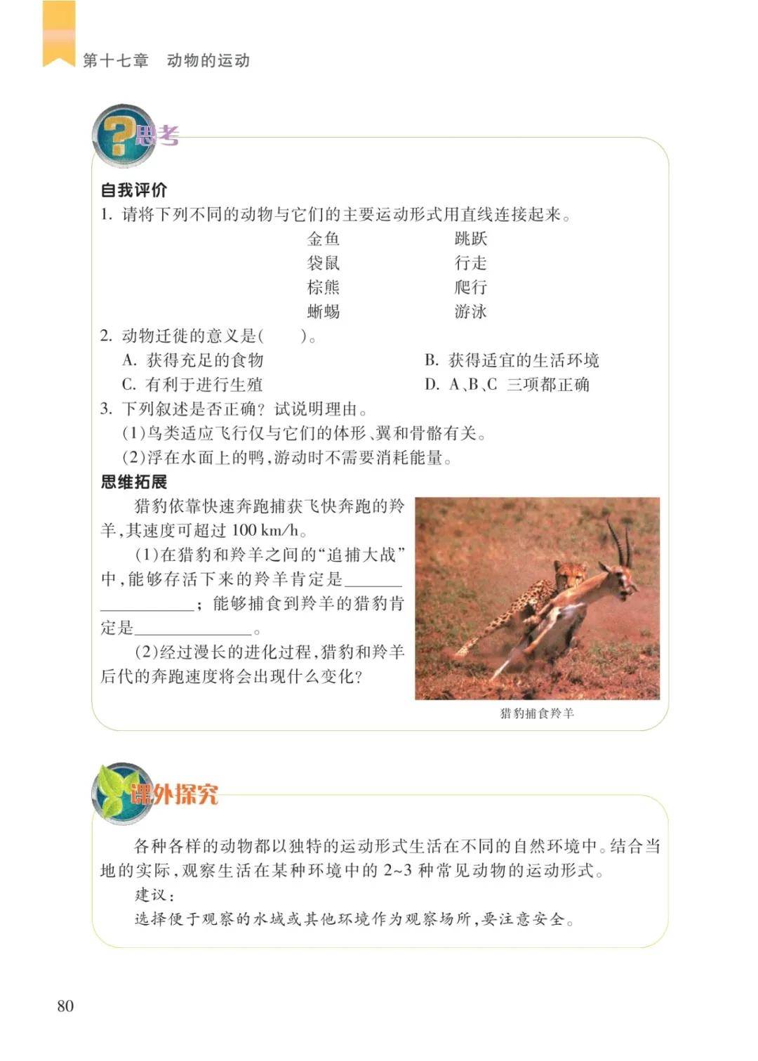 文章配图-78