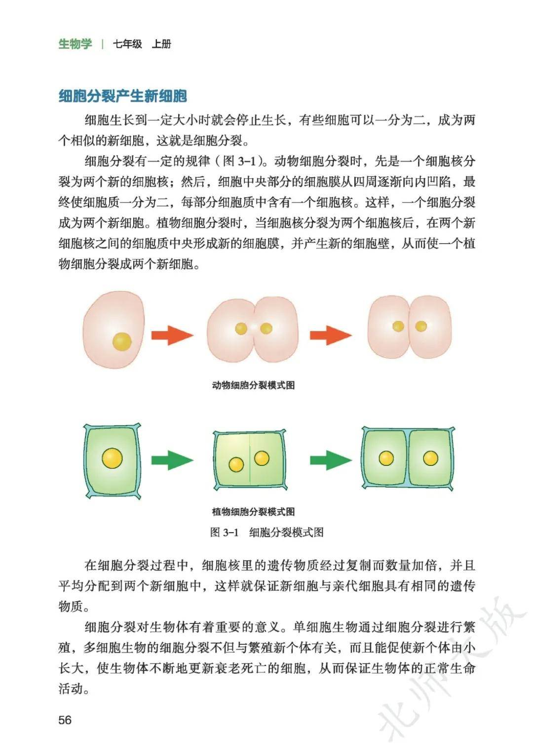 文章配图-1