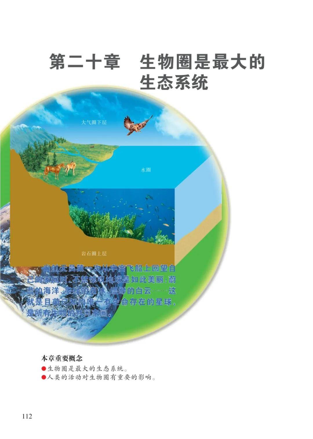 文章配图-28