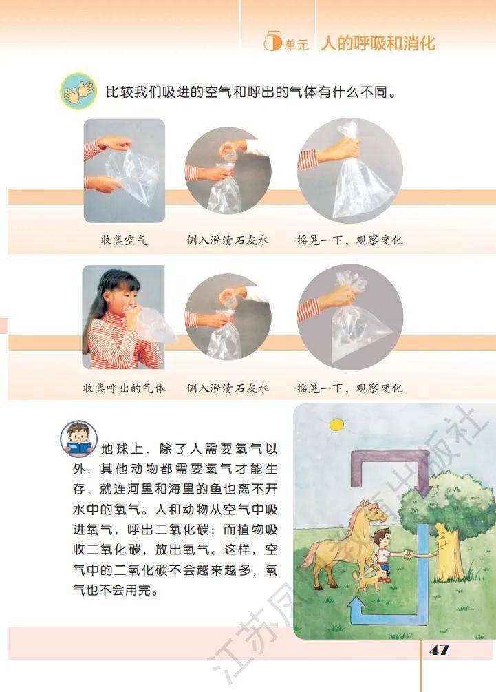 文章配图-45