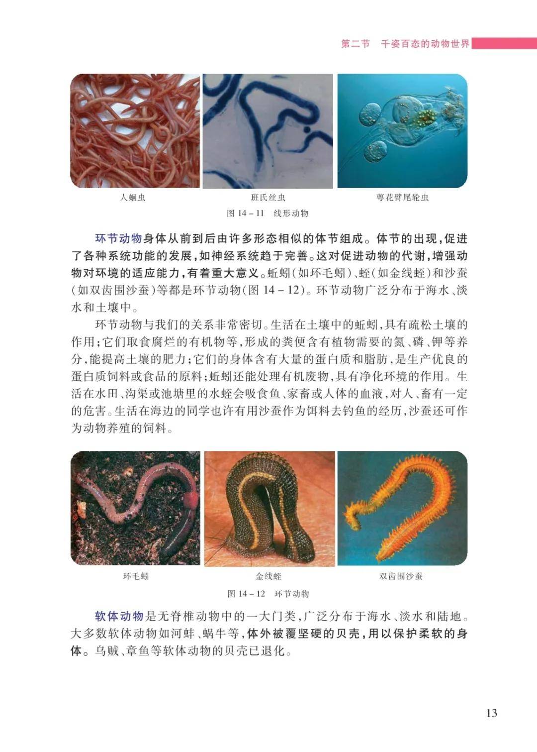 文章配图-13