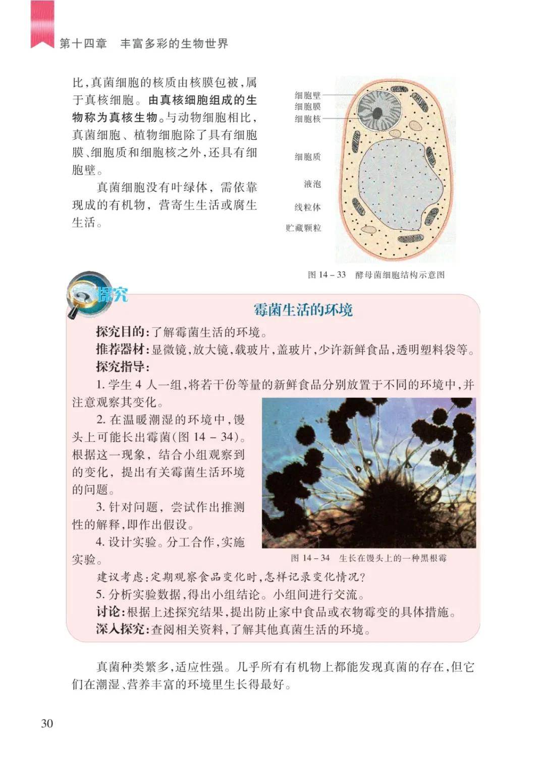 文章配图-28