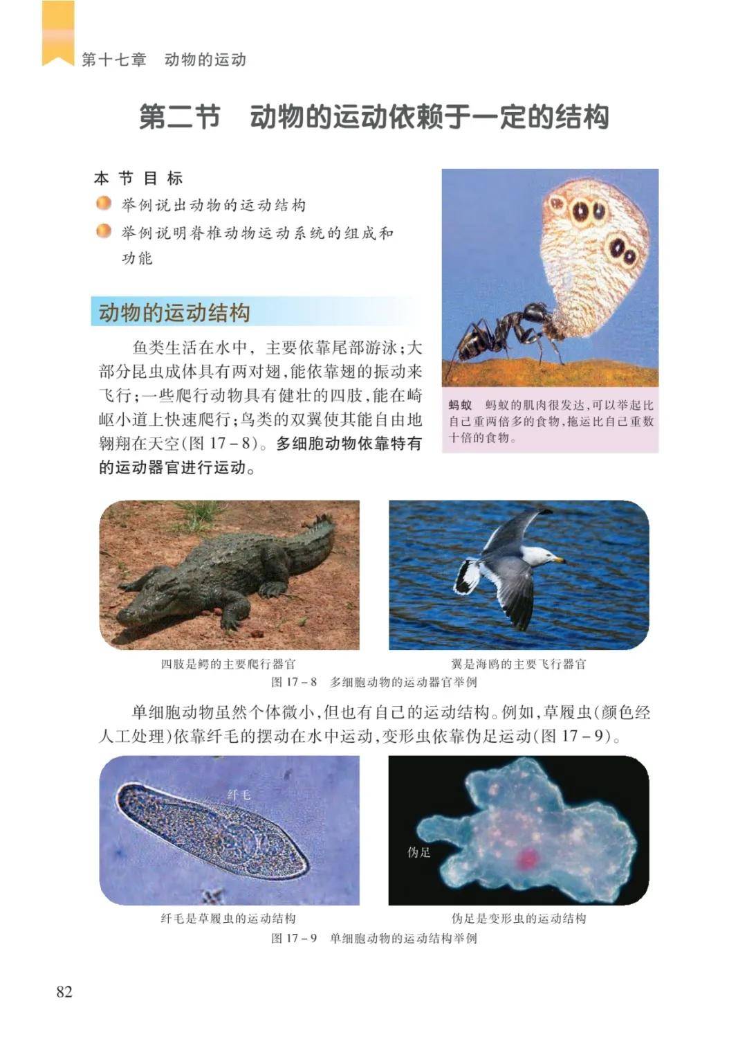 文章配图-80