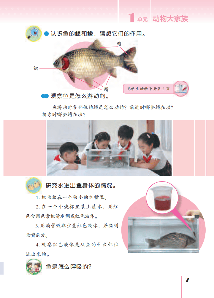 文章配图-11
