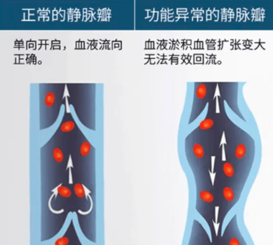微信图片_20260630154503_519_2.png