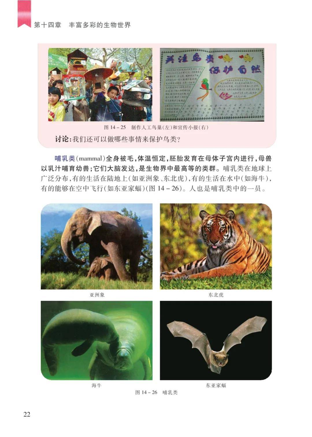 文章配图-20