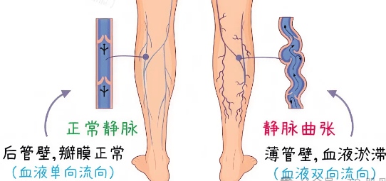 微信图片_20260630150121_507_2.png