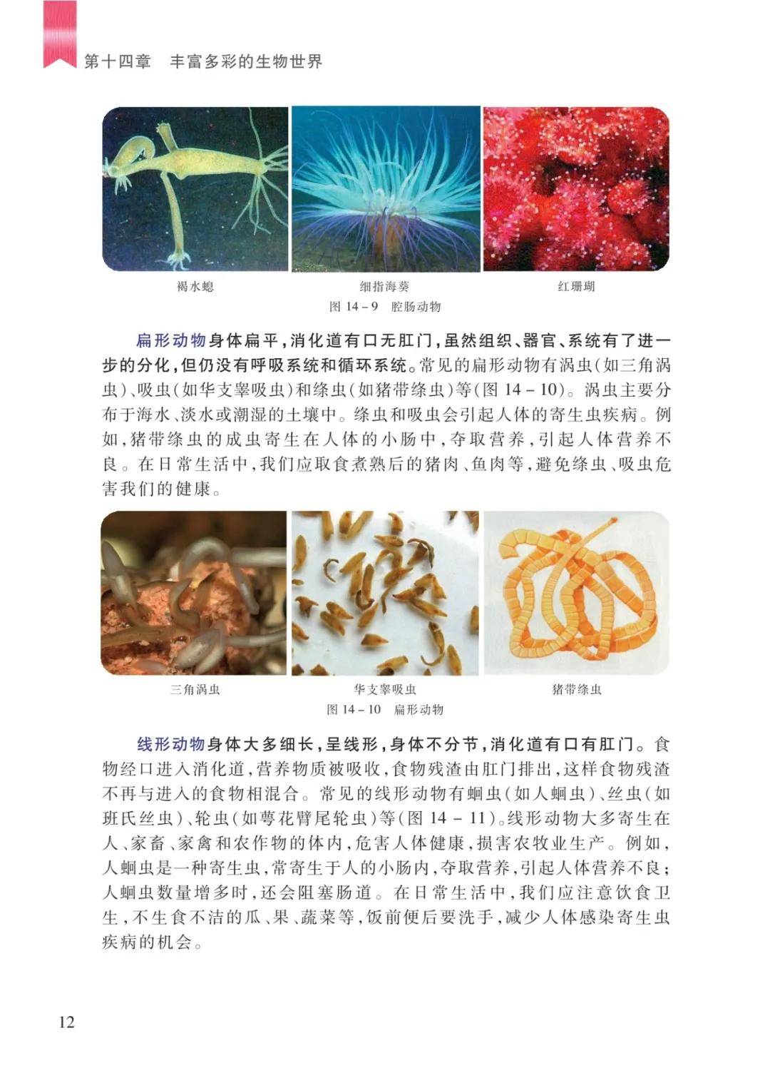 文章配图-12