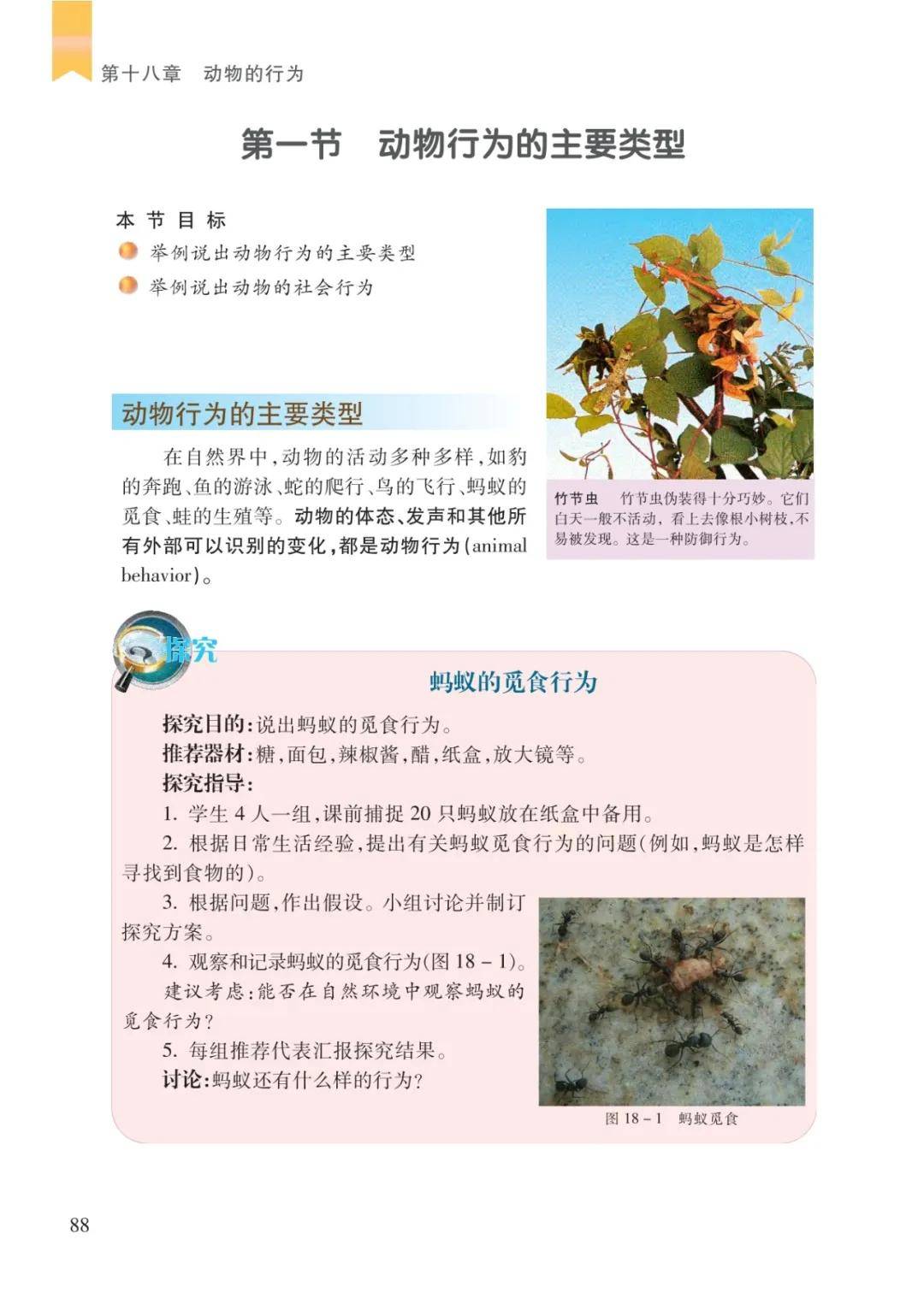 文章配图-6