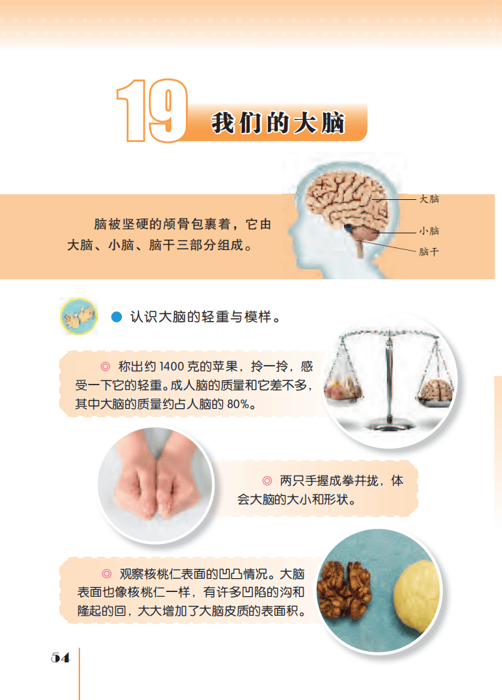 文章配图-56