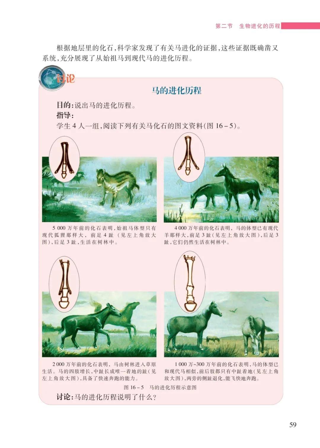 文章配图-57