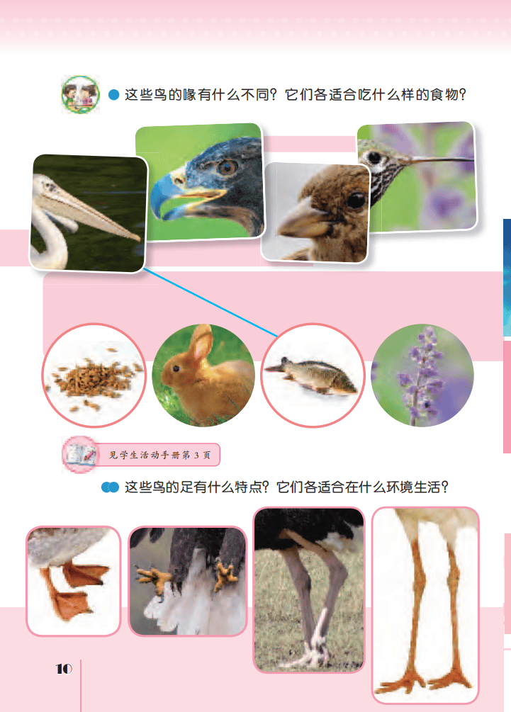 文章配图-14