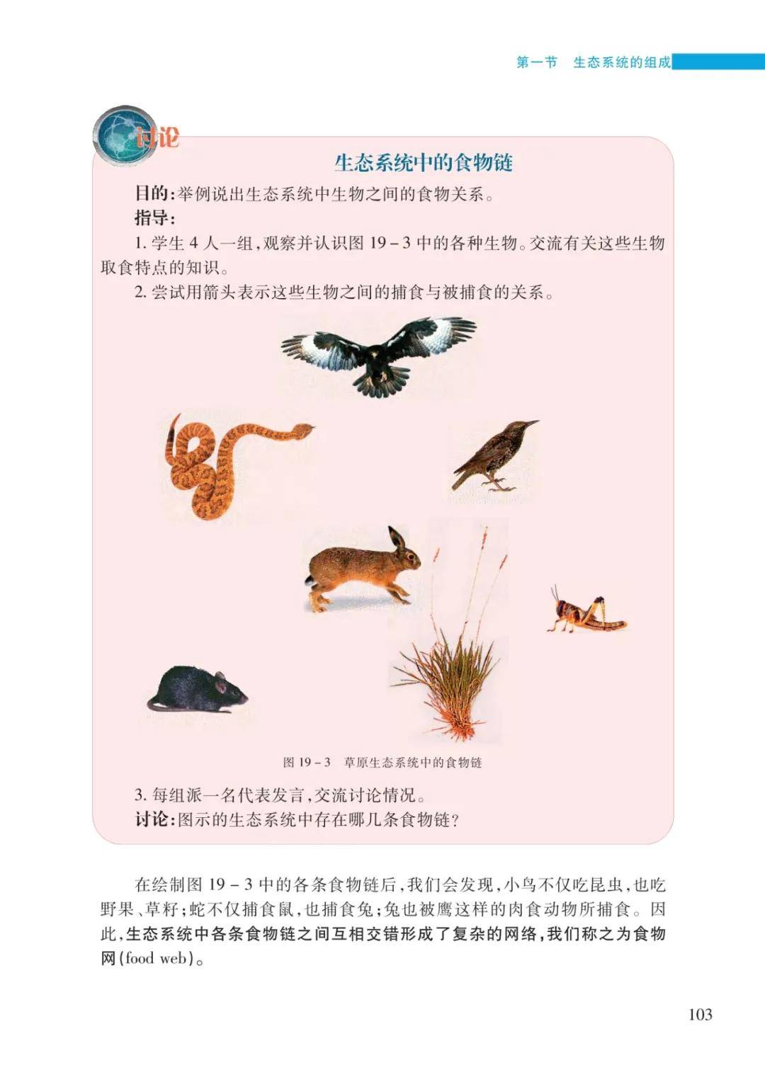 文章配图-19