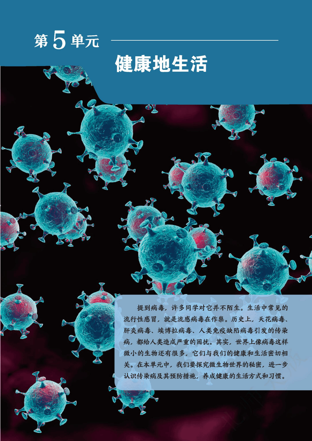 文章配图-1