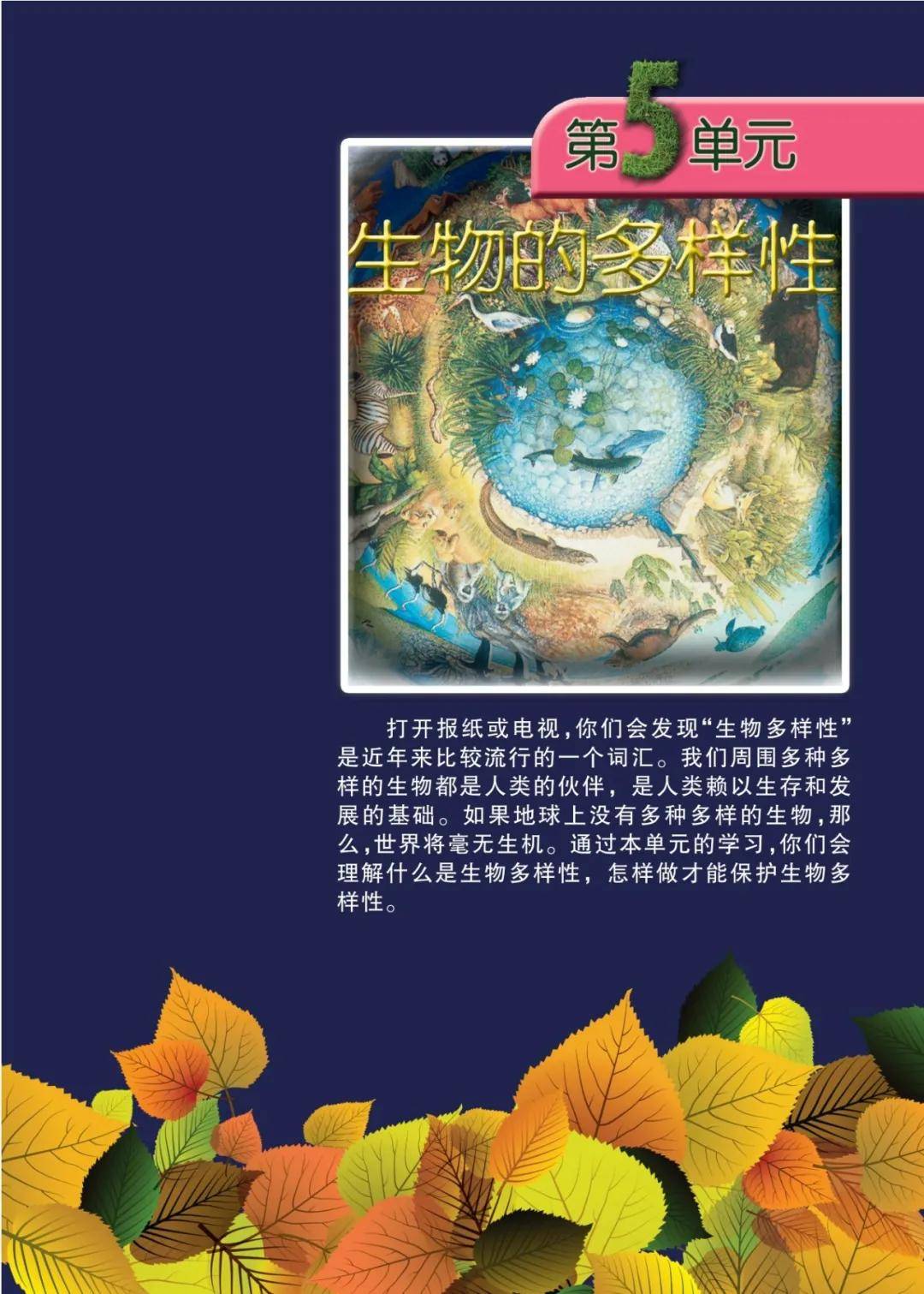 文章配图-4