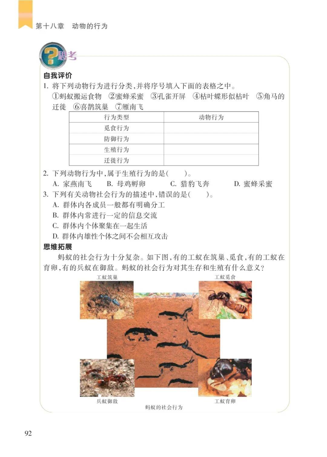 文章配图-8