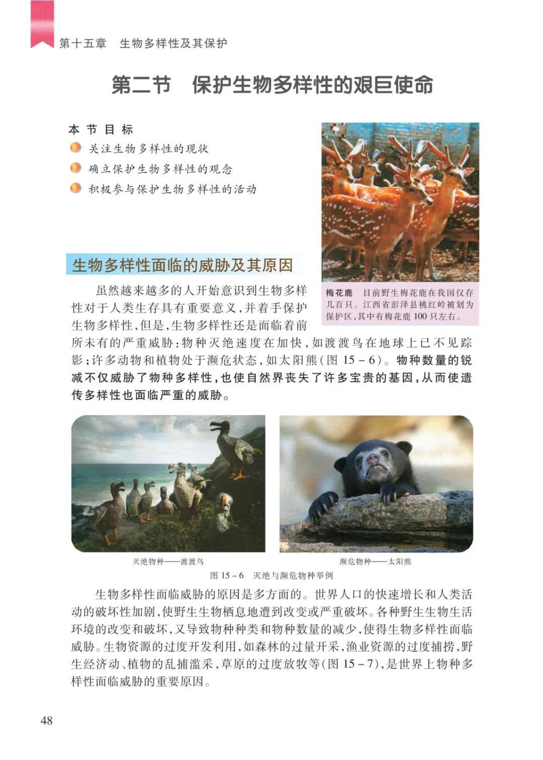 文章配图-46