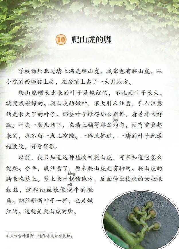 文章配图-1