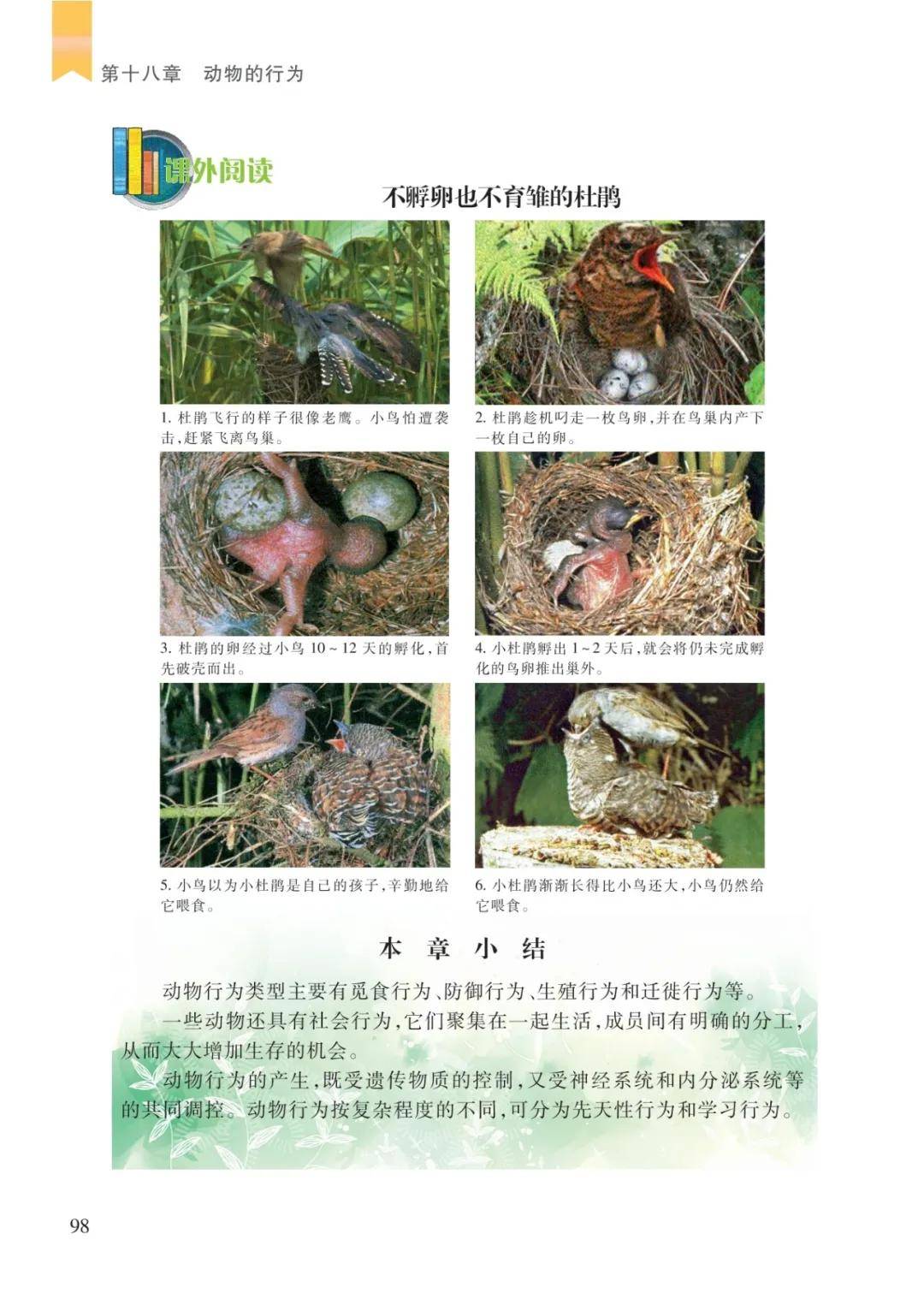 文章配图-14